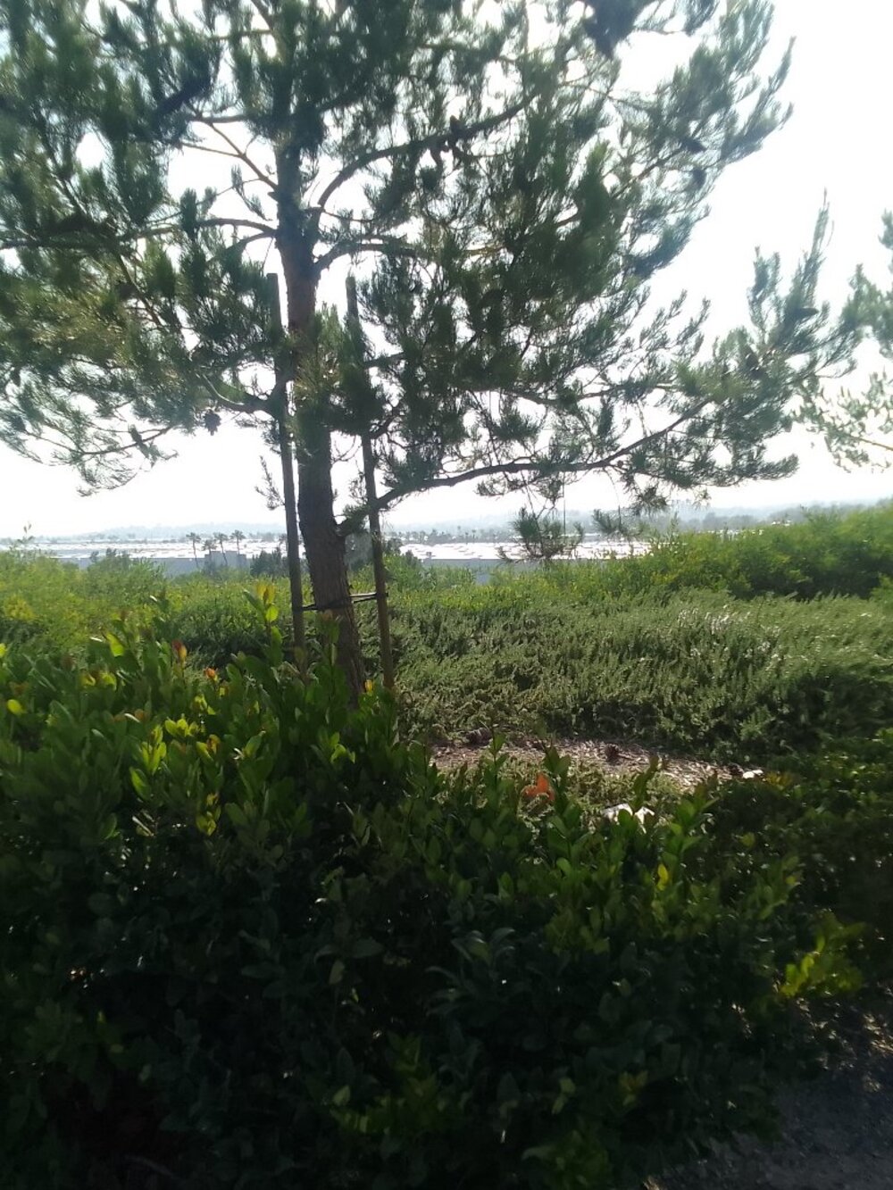Wonderful nature scene! Contact us for the best offer if you're interested